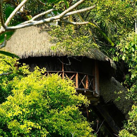 Huma Terra Lodges Hikkaduwa Eksteriør billede