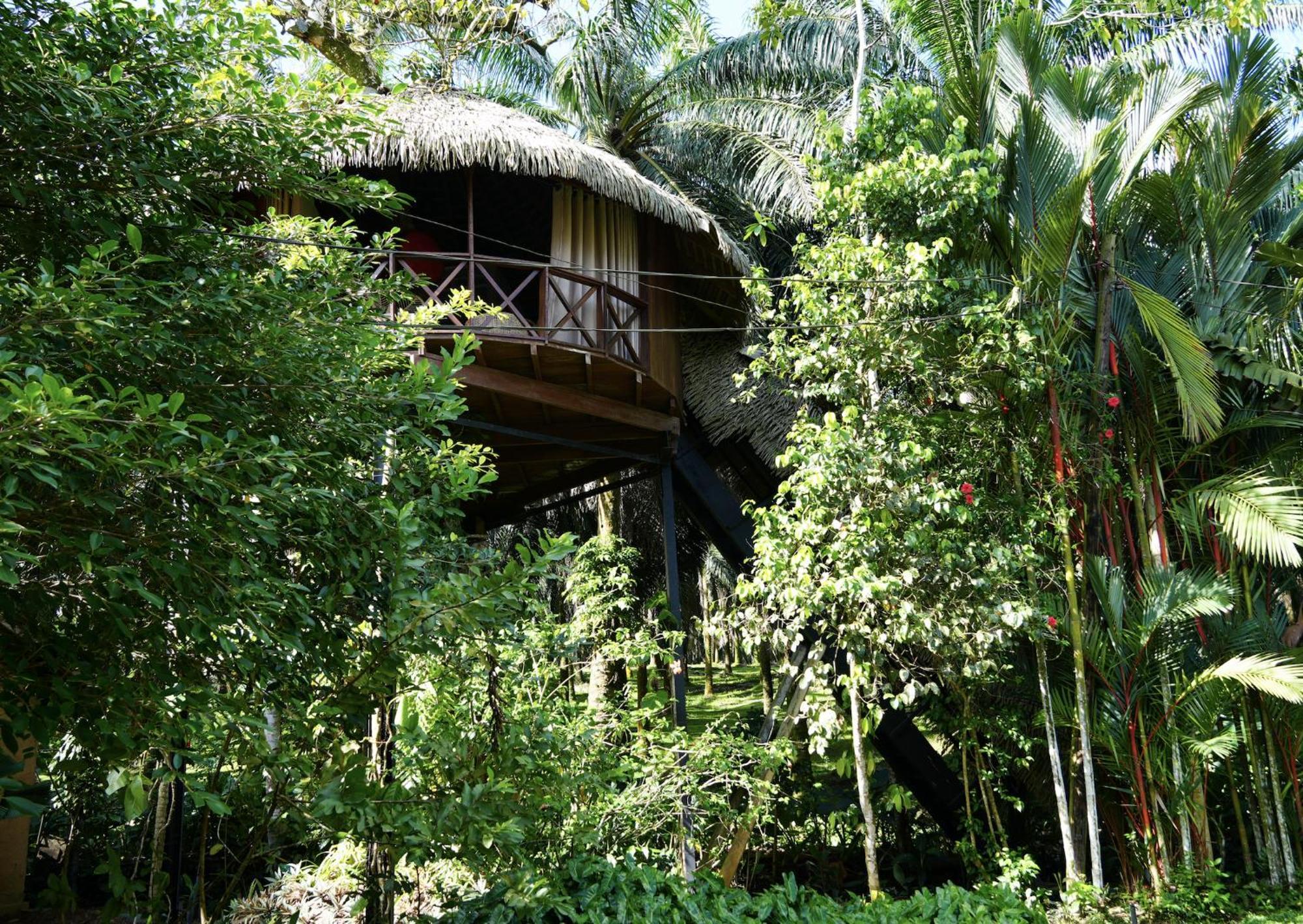 Huma Terra Lodges Hikkaduwa Eksteriør billede